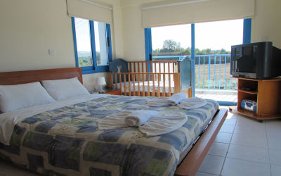 Stunning 4-Bedroom Villa with Private Pool in Naples